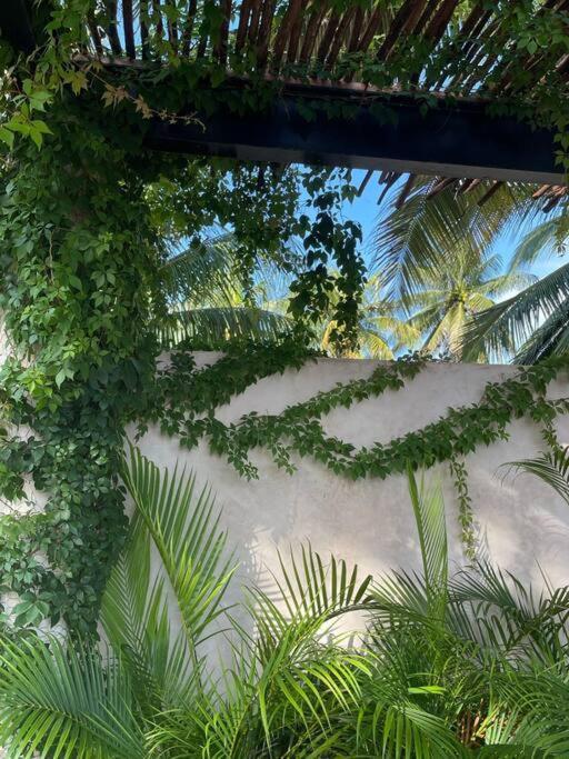 Casa Tulup Sisal Villa Eksteriør billede
